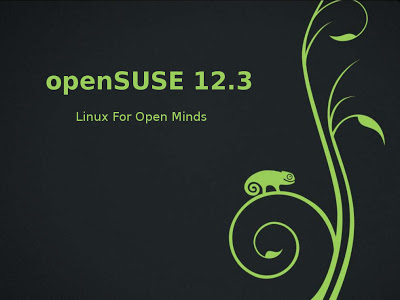 Installing Dell OpenManage 7.3 on Suse 12.3